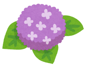 flower_ajisai4_purple